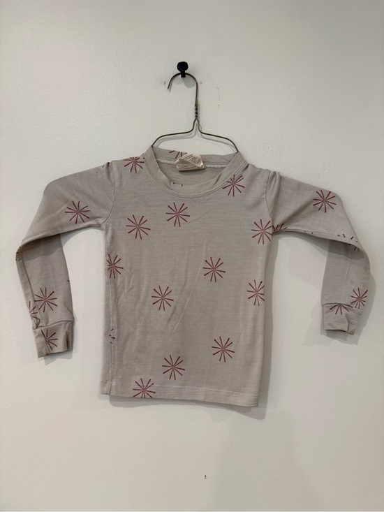 Chasing Windmills Other - PLAY CONDITION Chasing Windmills Merino Wool Tee Gray Long-Sleeve Tee Pink